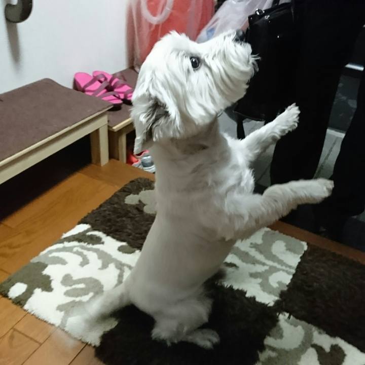 63a958d7 8609 4612 a97c 1967e60eab7f