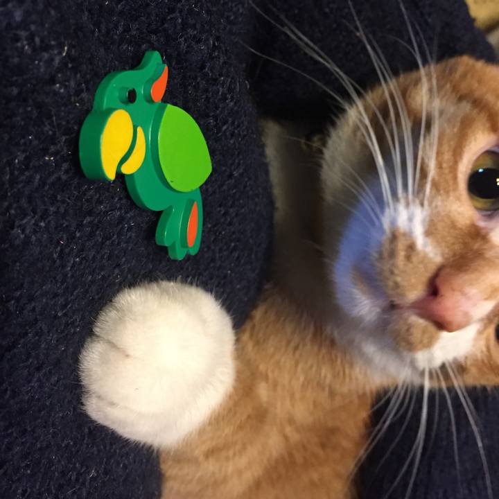 63a9b8e3 14f6 4514 8e04 bff7c2ca8e3a