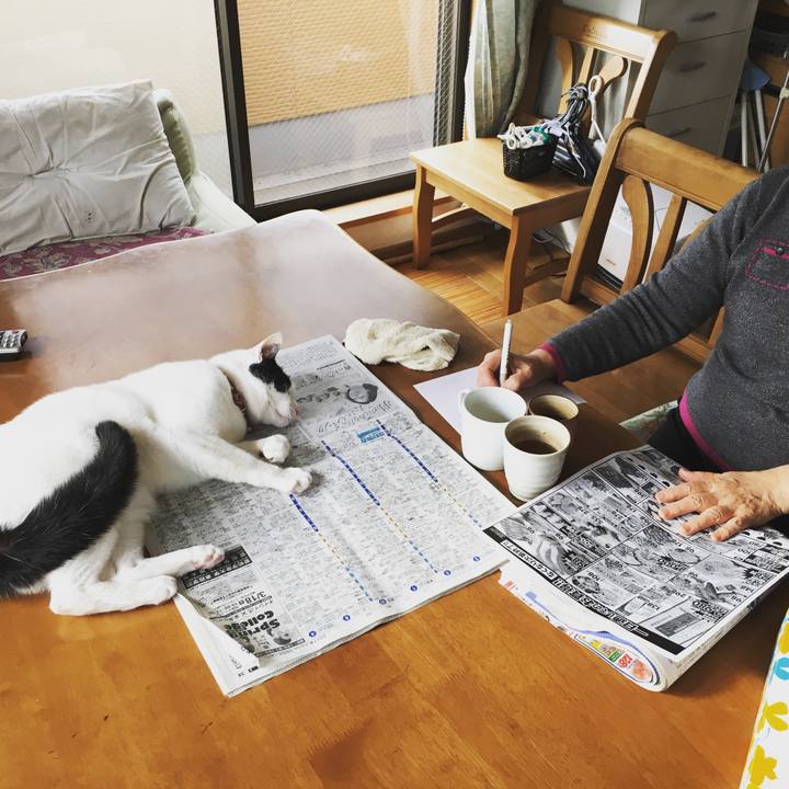 63aa29f8 f942 448d bbcd 5fcd644d38c3