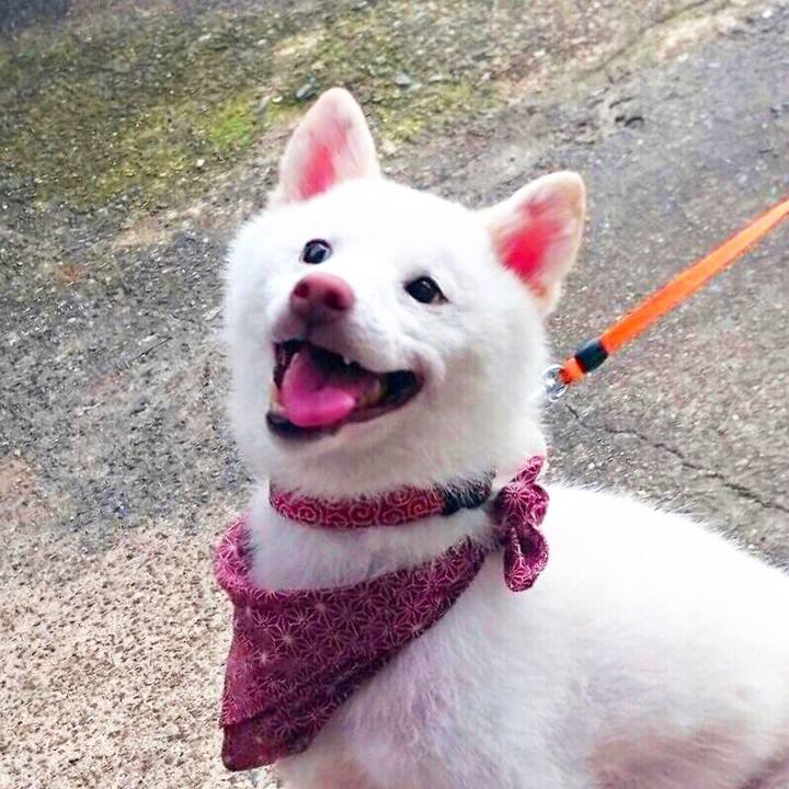 63abae08 f2dc 4852 9f55 e5e5ebbdfa8e