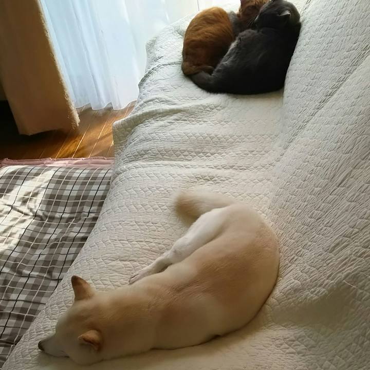 63abc67d 0ee0 4e41 abe3 b9c173c792a0