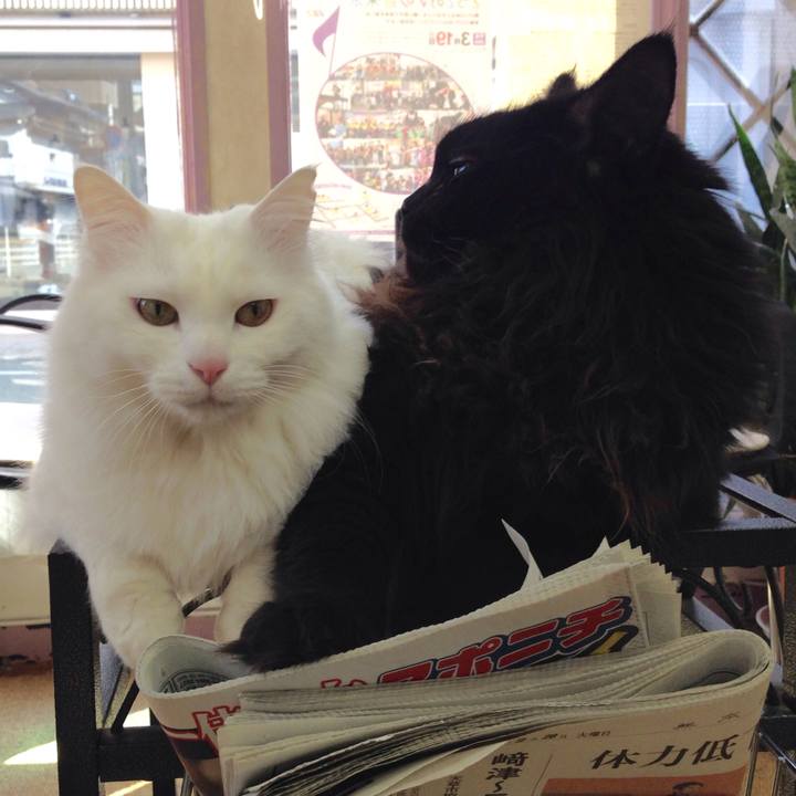 63acef97 f0f2 4667 9544 d7d6959cf045