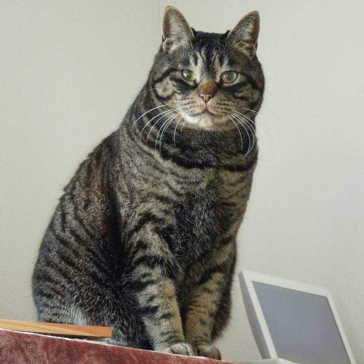 63ade76c 417d 4bf0 ae04 fa676ce4dbb5