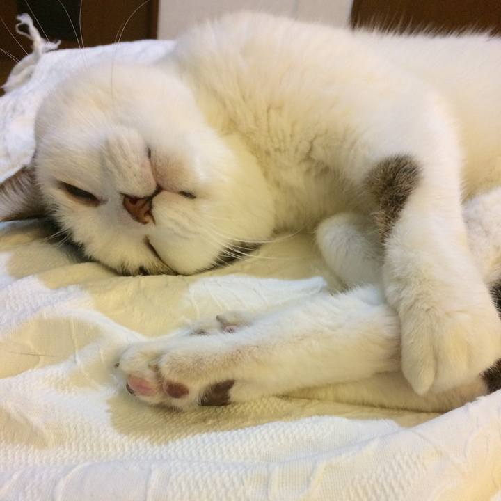 63ae7979 3fed 44c2 a99a c28c37db6825