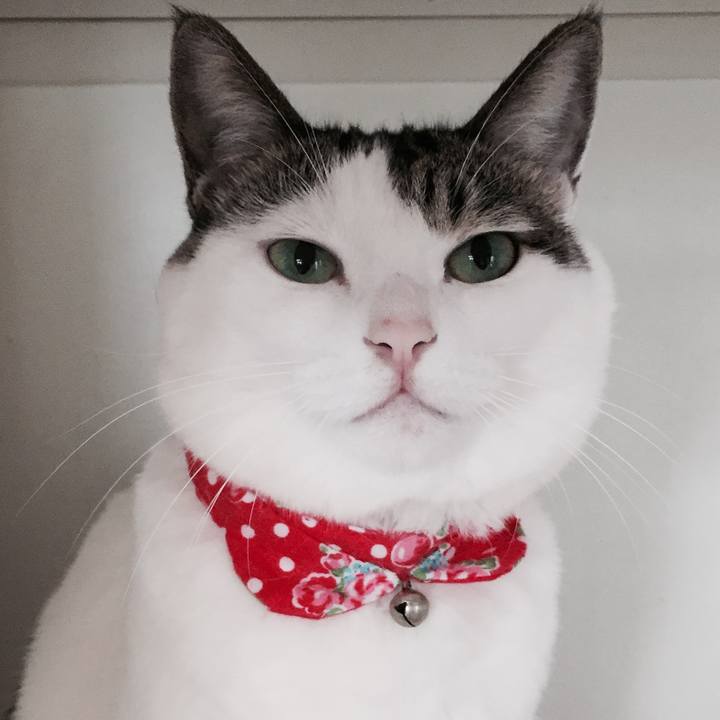 63aecded 570d 4879 8eef 75744e29198f