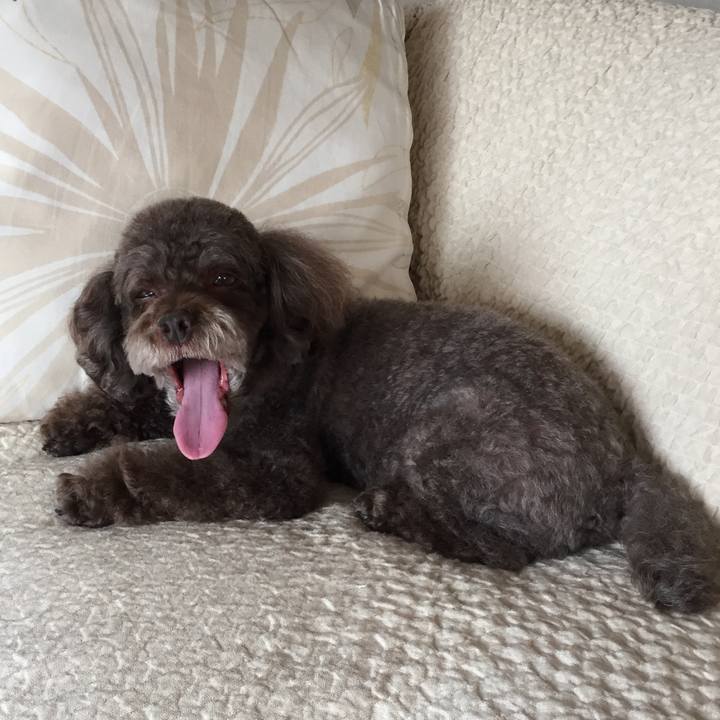 63af12d1 85cb 4b57 bcbf 1e6e9f74c2f5