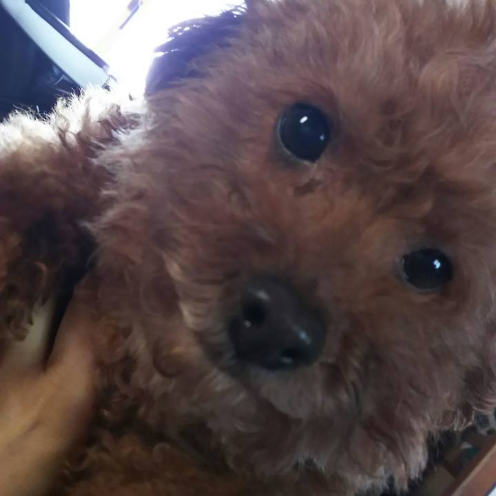 63afd4f6 52d7 460a b768 6485df5281f0