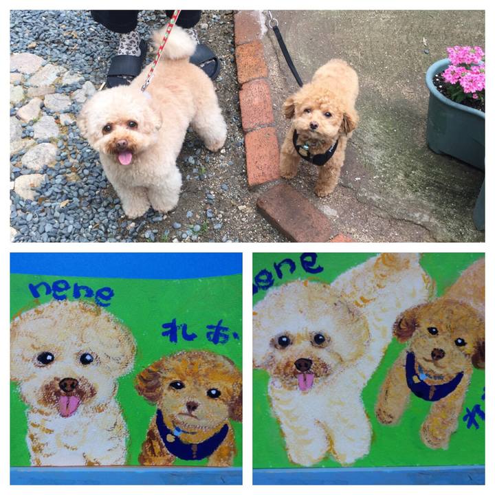 63afe155 b84c 4d3d 8f2d 2f5820a419b9