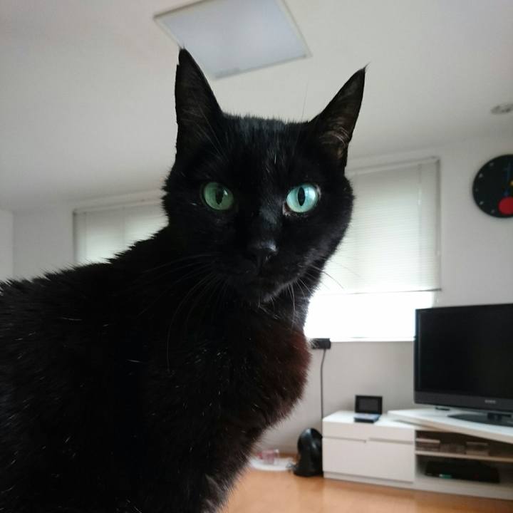 63b0019a 5269 4799 9b5a 8632b8a5418f