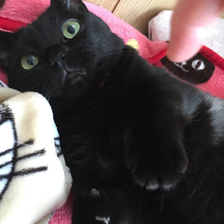 63b0d071 0bca 4b42 88ba 51291577cb09