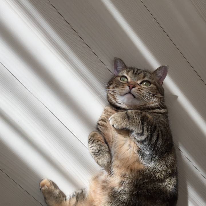 63b105fa e6d9 4d22 a930 a44d25497721