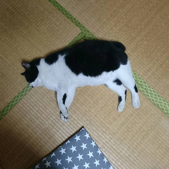 63b146c5 97d4 4703 9a65 1ebc012884d0