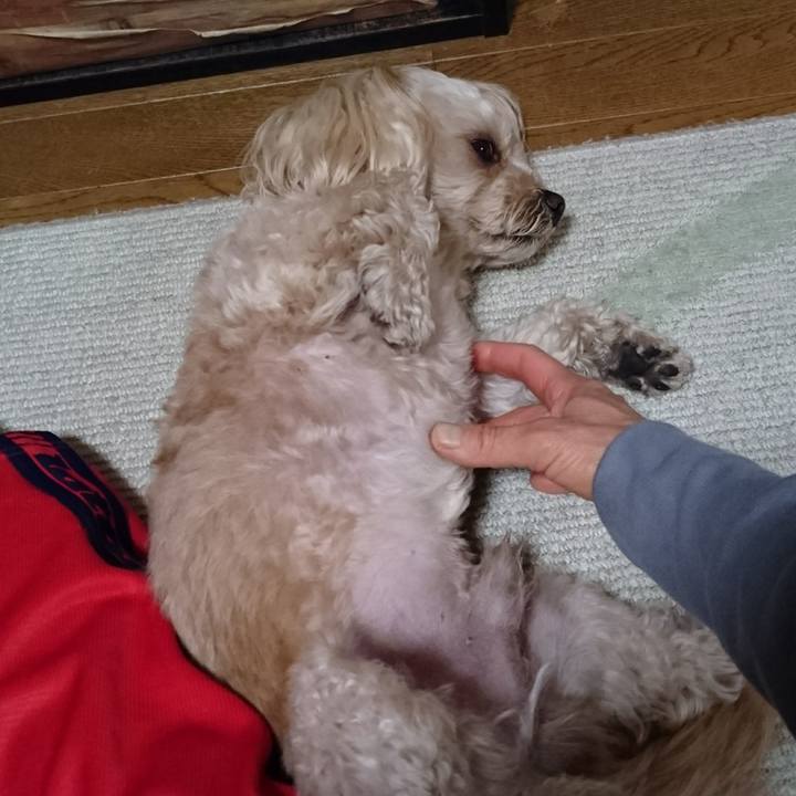 63b18a12 7252 4d0b 9783 c151969b1100