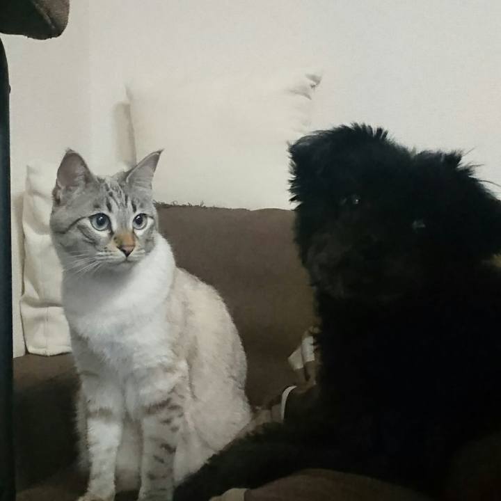 63b218d2 71cd 4df7 b5d4 beab13c605fd