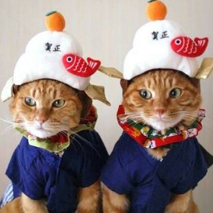 63b25661 6d23 4da8 9d5d f517f1397bc1