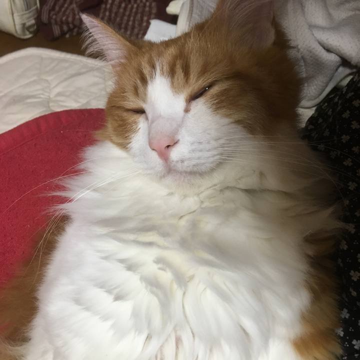 63b28970 b9a9 4d21 bac9 2317cce56f88