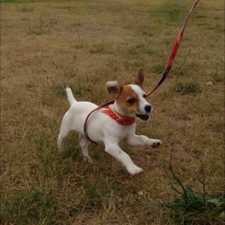 63b3f1ea 9910 4fa0 ae56 7a542bf1ef23