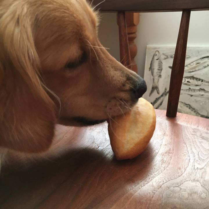 63b40ce3 28e8 4f17 a804 031ccdab5b4d