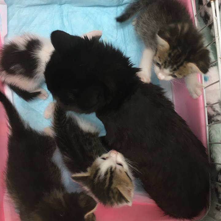 63b44dd2 1c51 432f a3f6 dcce3ae8b367