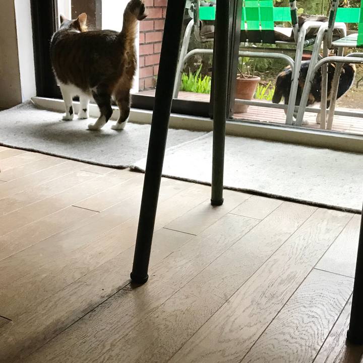 63b527a2 215a 4572 946c 4b746357d0f9