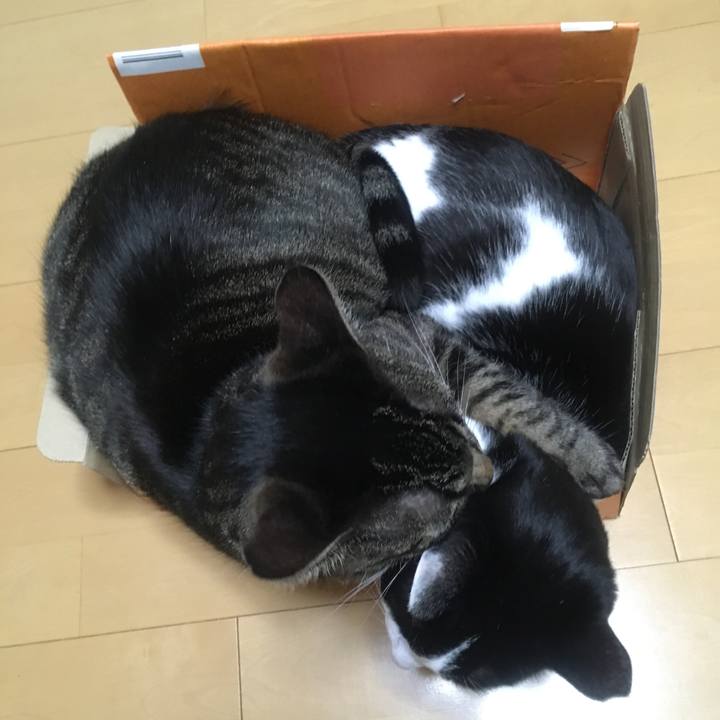 63b53bb8 024f 4f3f b7f9 ba75cab2913f