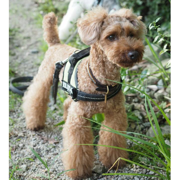 63b53c75 920f 4695 abef 8e06ceed6143