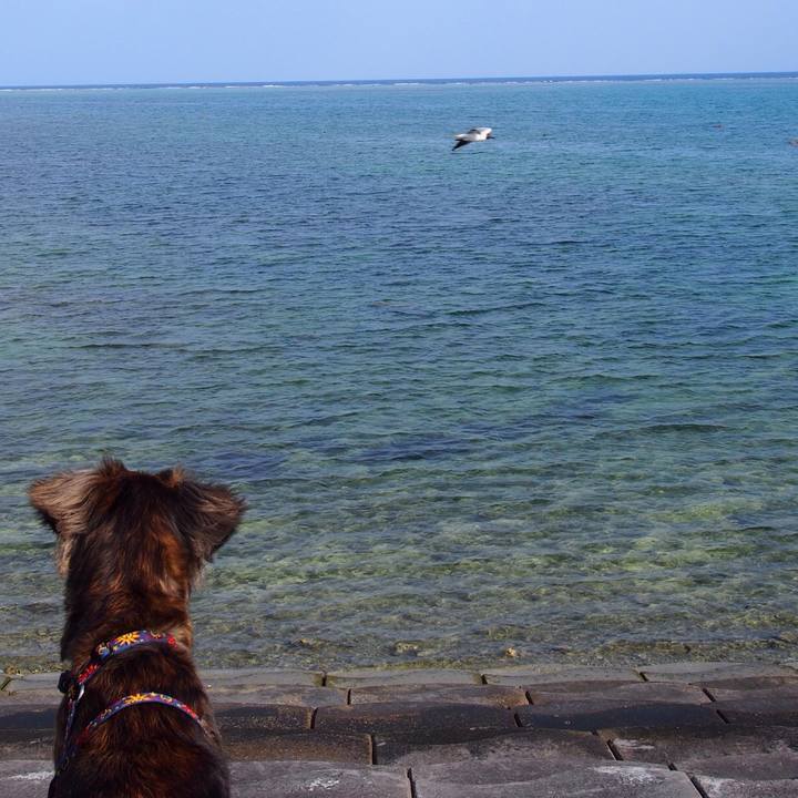 63b64c02 3df9 40e0 8cad 9c6d622231c8