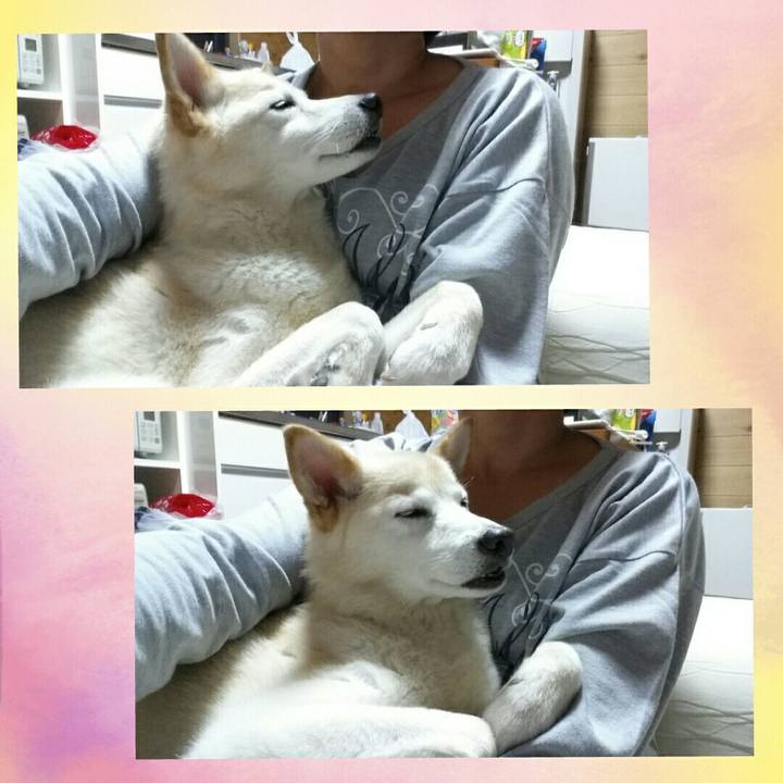 63b7433c 7f38 457c 8824 a8dba3f29bdd