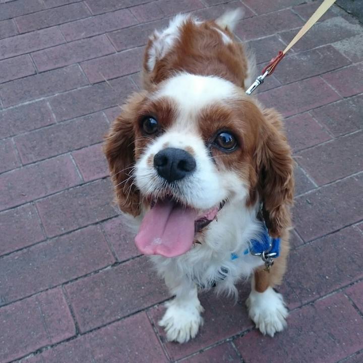 63b75ee5 e57a 44e4 908e 283815963c43