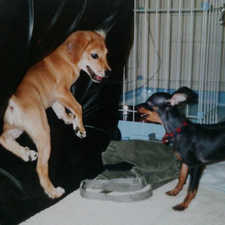 63b831f8 ccdc 45a6 affe 4f29c820ae00