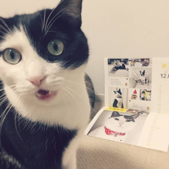 63b84cae f085 4ae6 b35c e126ed4f330c