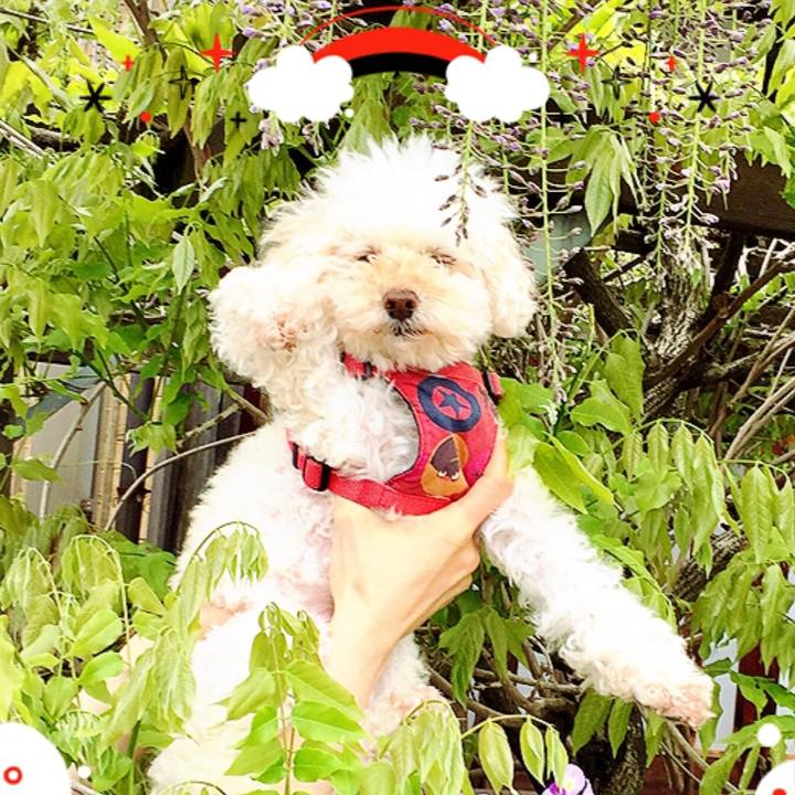 63b8a724 e98c 4eca 8483 b711e480034d