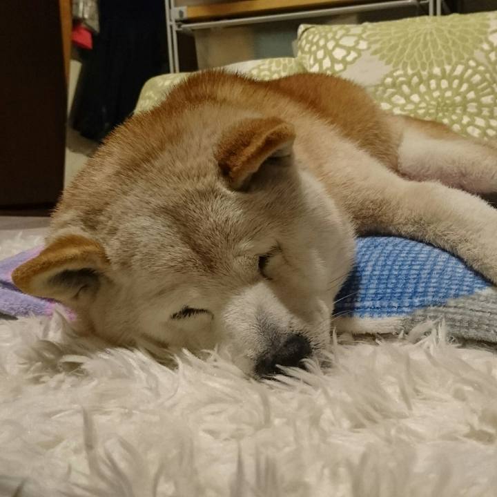 63b8d5b8 4776 49a0 a80b 68943ce4a868