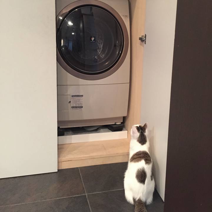 63b93b3d fb30 44e6 9968 4e18ca1b2f59