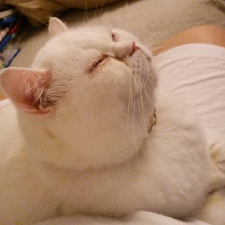 63b95f45 cdbe 4a9e 8a70 3472138837b9