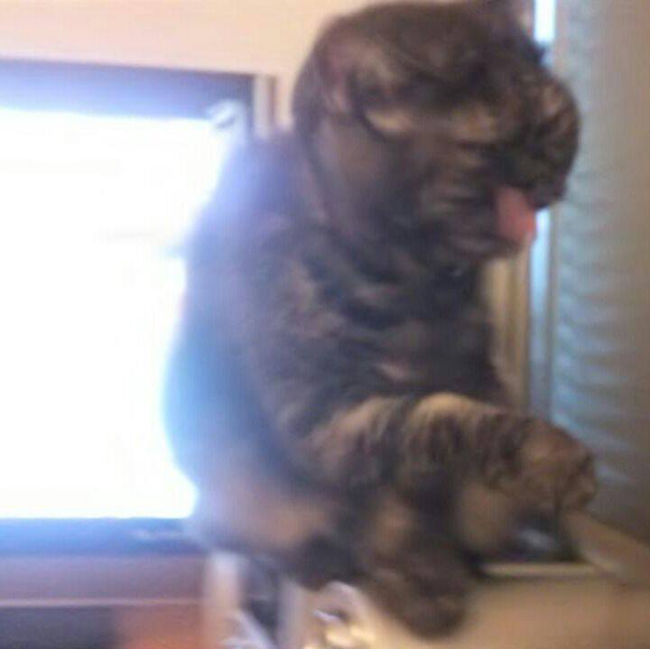 63b99e51 f48f 4607 b847 769da9085f89