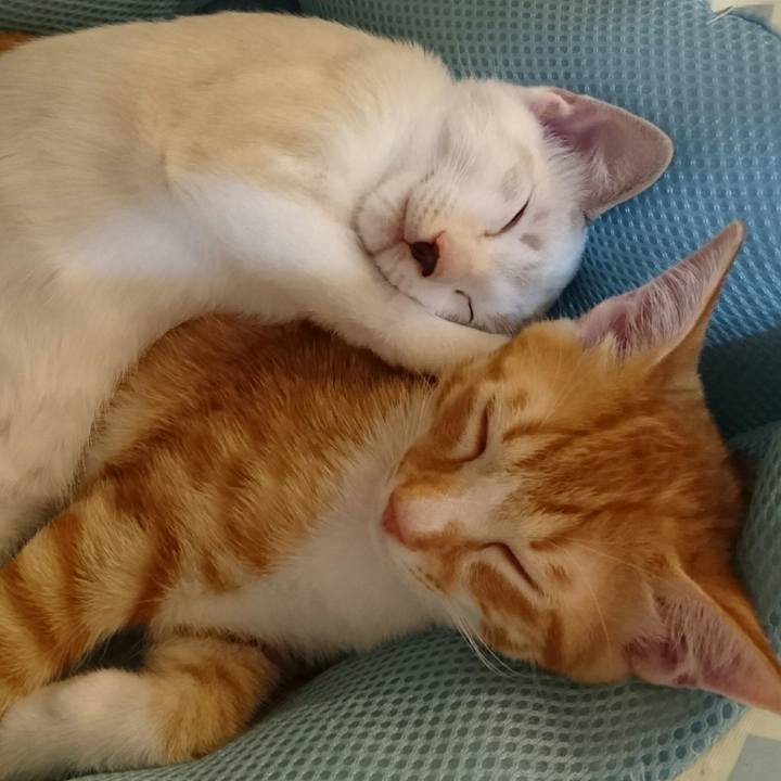 63b9c4c7 908f 433f 8ff8 2f1a78f95d60