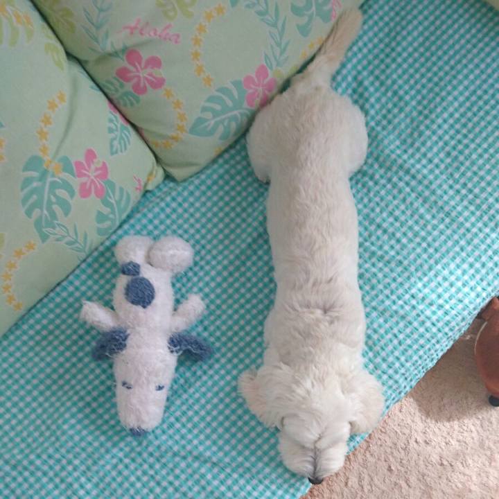 63ba077e 3f3f 42f2 b39a 4320df0acc9a