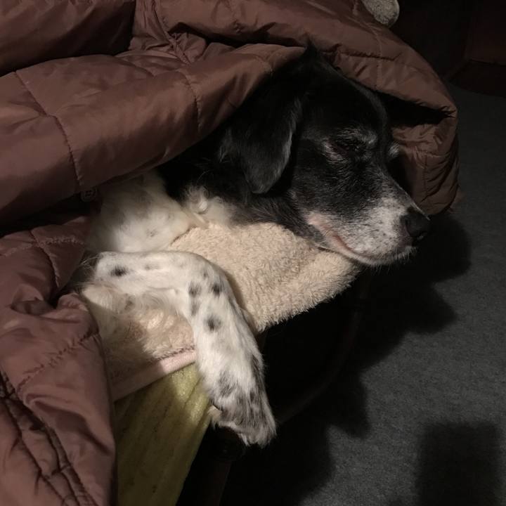 63bb1550 9270 4738 8b74 dd154ccbd896