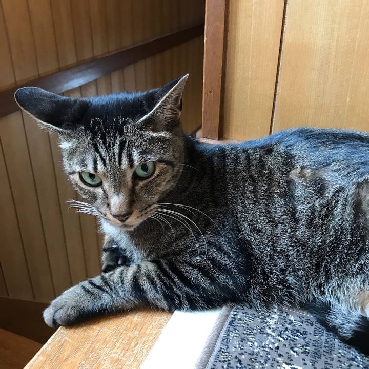 63bb2396 99c8 45c0 9a62 a002a50f6b84