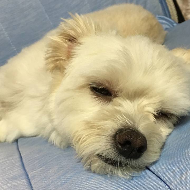 63bb6110 a87f 4912 8f25 730396a988c5