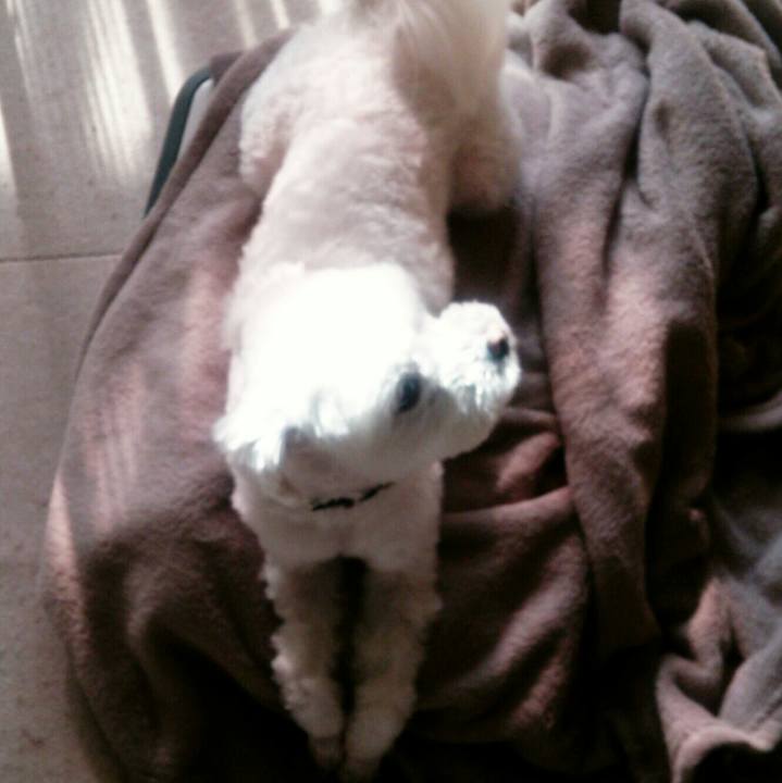 63bbaf48 32bf 48b0 9aa6 22ce7426c722