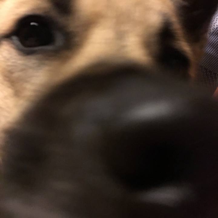 63bc200d 8231 46b4 8f83 72251c77b624