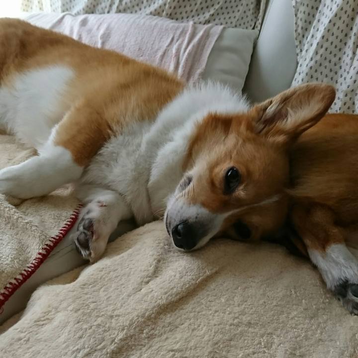 63bd91fd 42b9 4be5 8b1a 4a0901b60a28