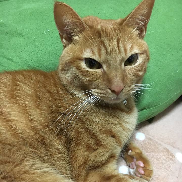 63bdd8dd bf5d 443a 89fe e1d1ff9bae59