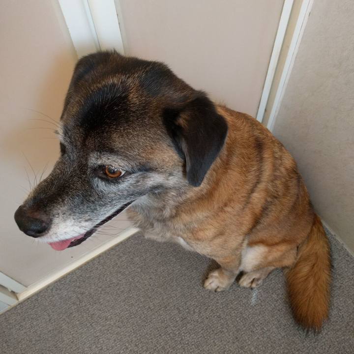 63be08e6 2b23 4d22 baf4 65145bccc274