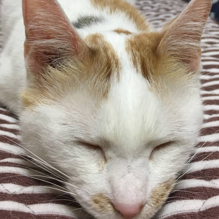 63be1eb3 6662 41be a52e 917842459c3c