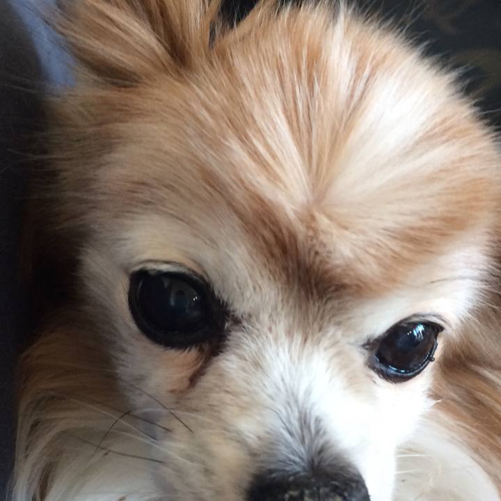 63be3e42 8f8c 4379 8a5a abff3eef6dd4