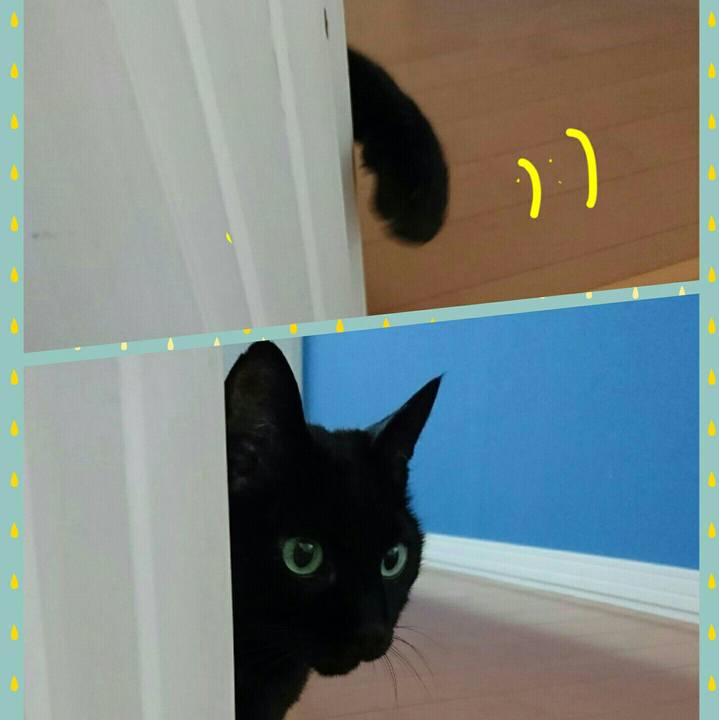 63be6612 0300 4509 8ee9 b64930661036