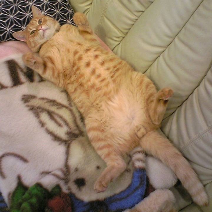 63be6db3 2d87 451c a7fd 420196bda107